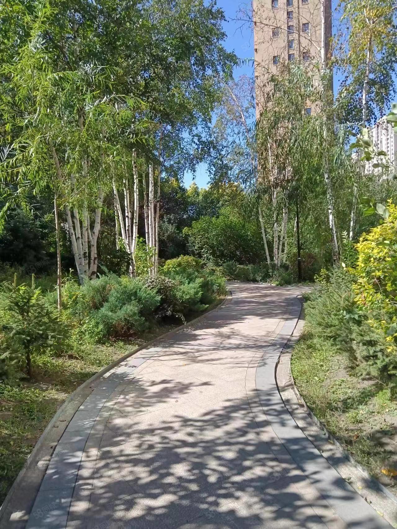 带车位115万群力三松宜家两室大明厅精装修无大税