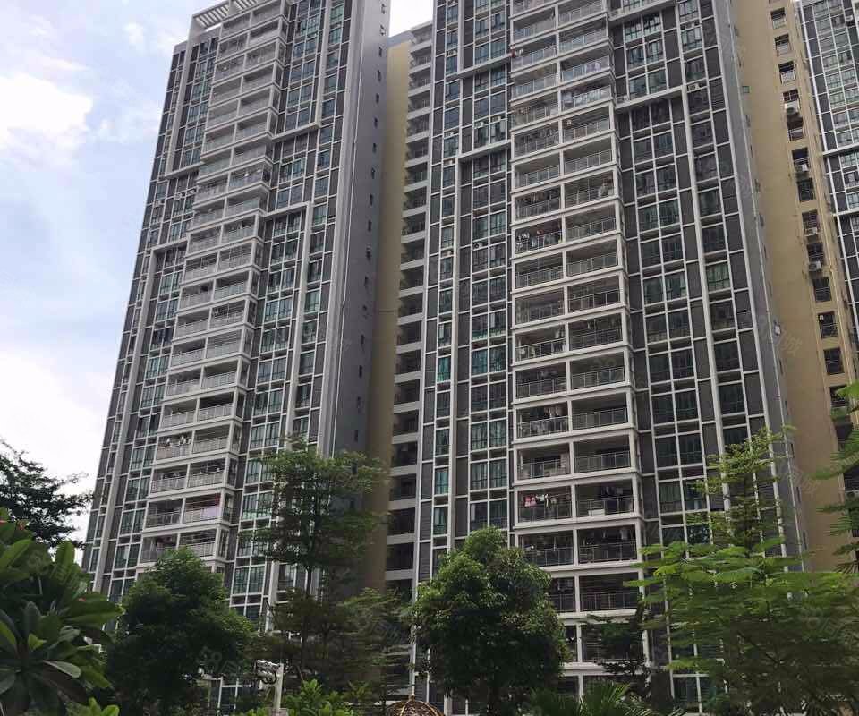 红星国际新城小区详情,房价走势,房源,业主论坛】- 深圳58同城