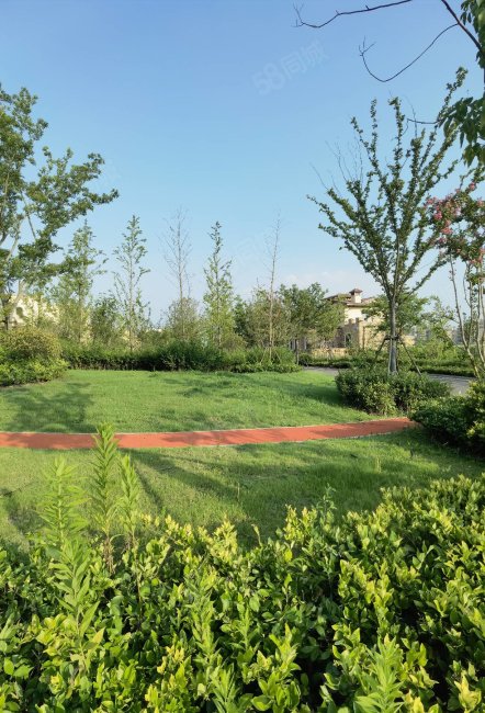 绿地长岛精装复式电梯洋房家具家电齐全拎包入住超大露台,乐享城-上海