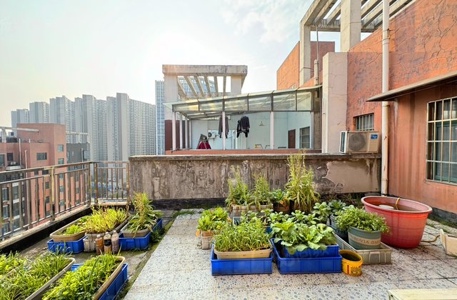 城西公寓6室3厅232.74㎡126.8万二手房图片