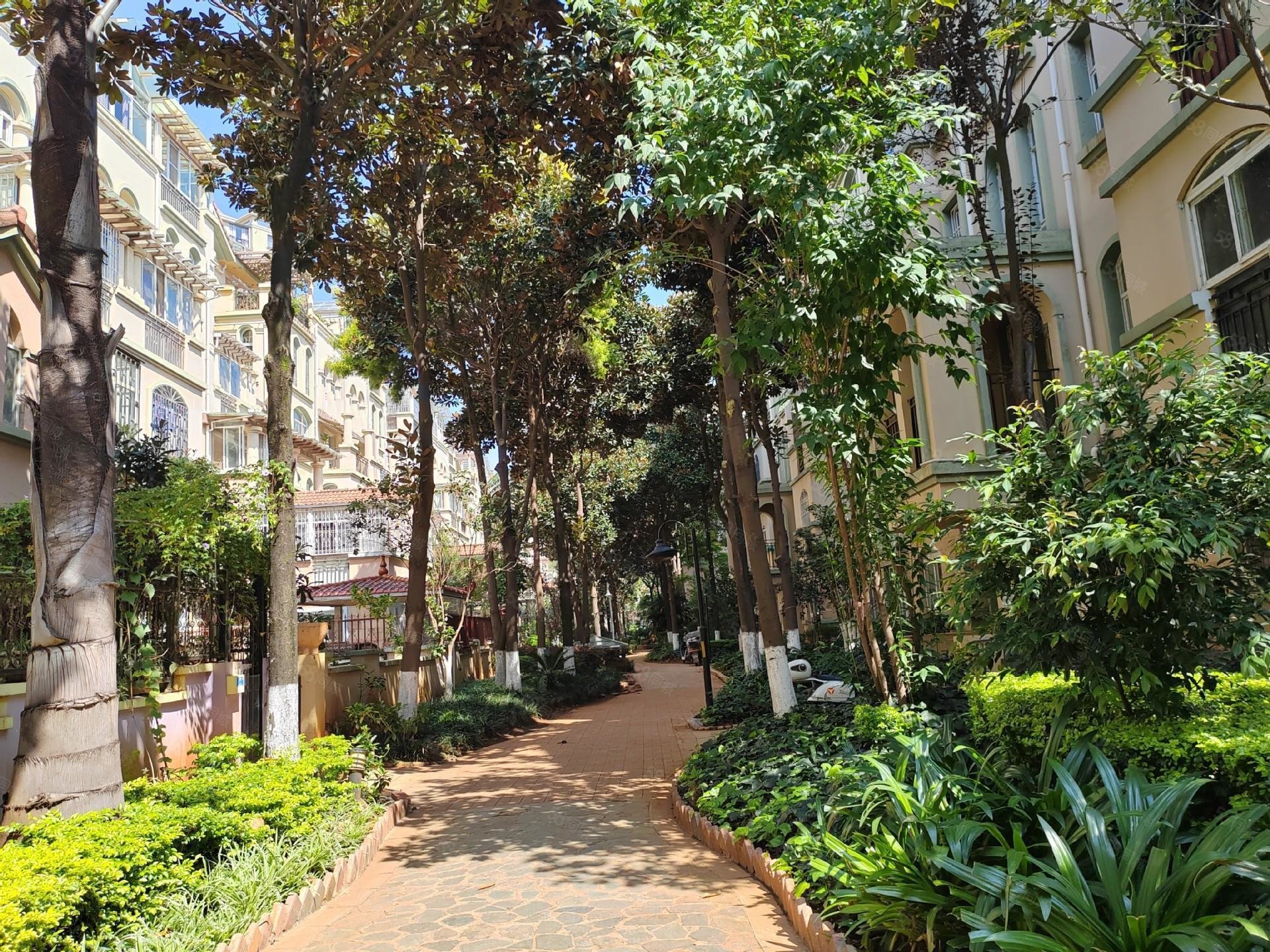 云大旁体育城3期退台花园洋房2楼带超大露台户型方正