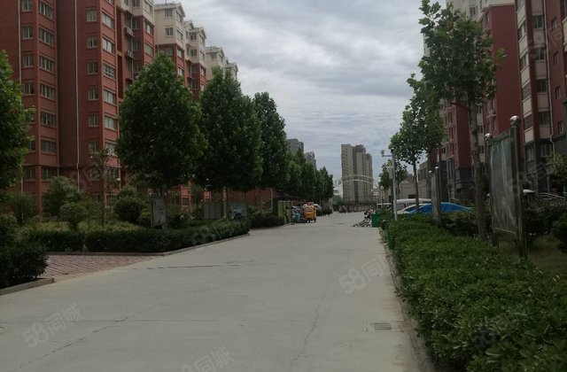 0㎡南北高层(共11层) 龙成御苑  