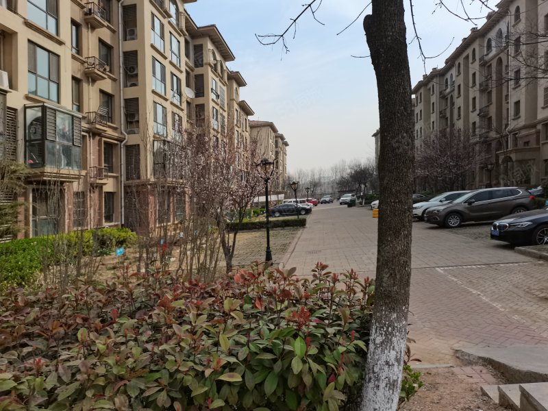 青湖国际缇香郡