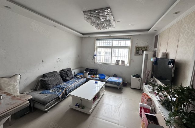 实验 文轩 大三居 单价四千拎包入住 临东昌樾 岳庄御府