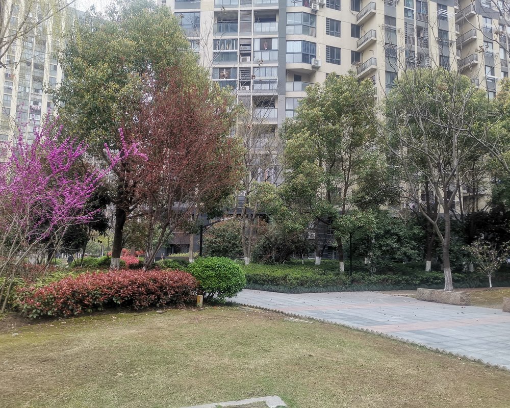 【柏庄观邸, 柏庄观邸小区详情,房价走势,房源,业主论坛】- 芜湖58