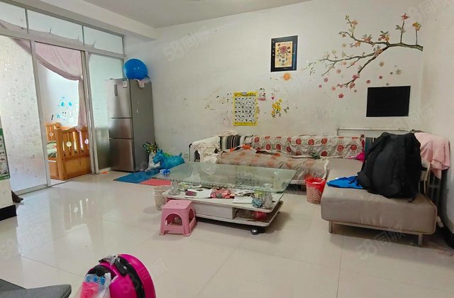 金城南区   免大税   双阳台    实验  停车方便