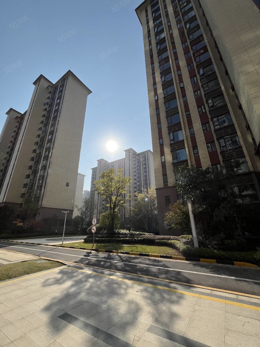 碧桂园天樾独梯独户业主亏本20万四开间朝南小高层