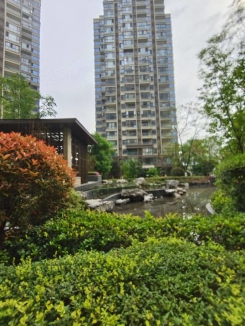 位置在售户型有限间间看美景港式横厅超大客餐厅,领地天屿-绵阳58同城