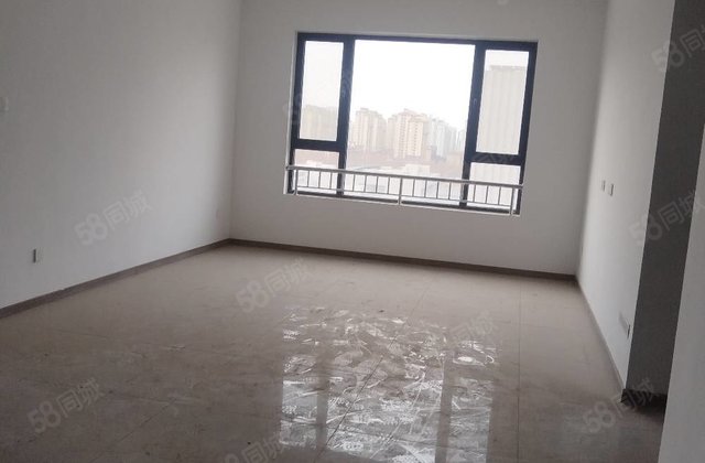 区政府 城市玖玺南区 三室两卫边户送车储学府印象 天悦 清风