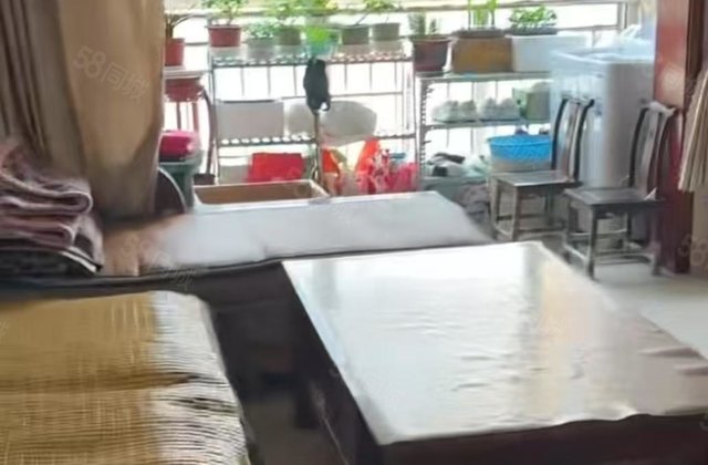 龙湾东门商品房 精装 3室户型方正 免大税