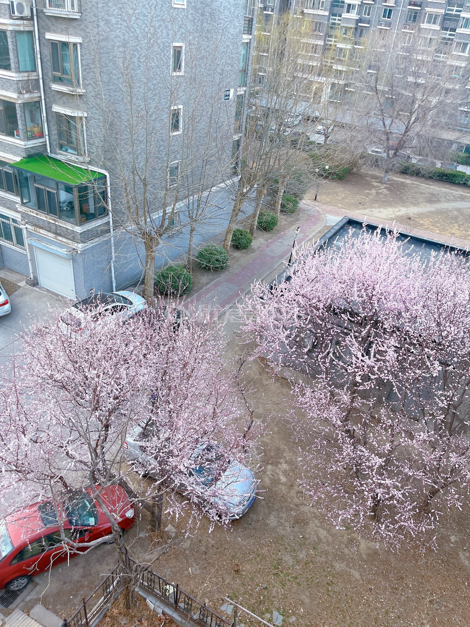 上林苑南北通透大两居中楼层