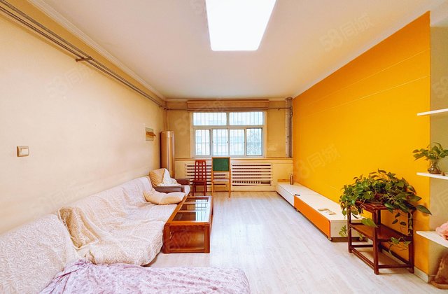 电业局五院文轩本部三室朝阳带大车库停车方便河东