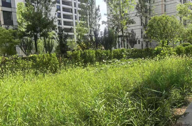 正商金域世家4室2厅138㎡100万二手房图片