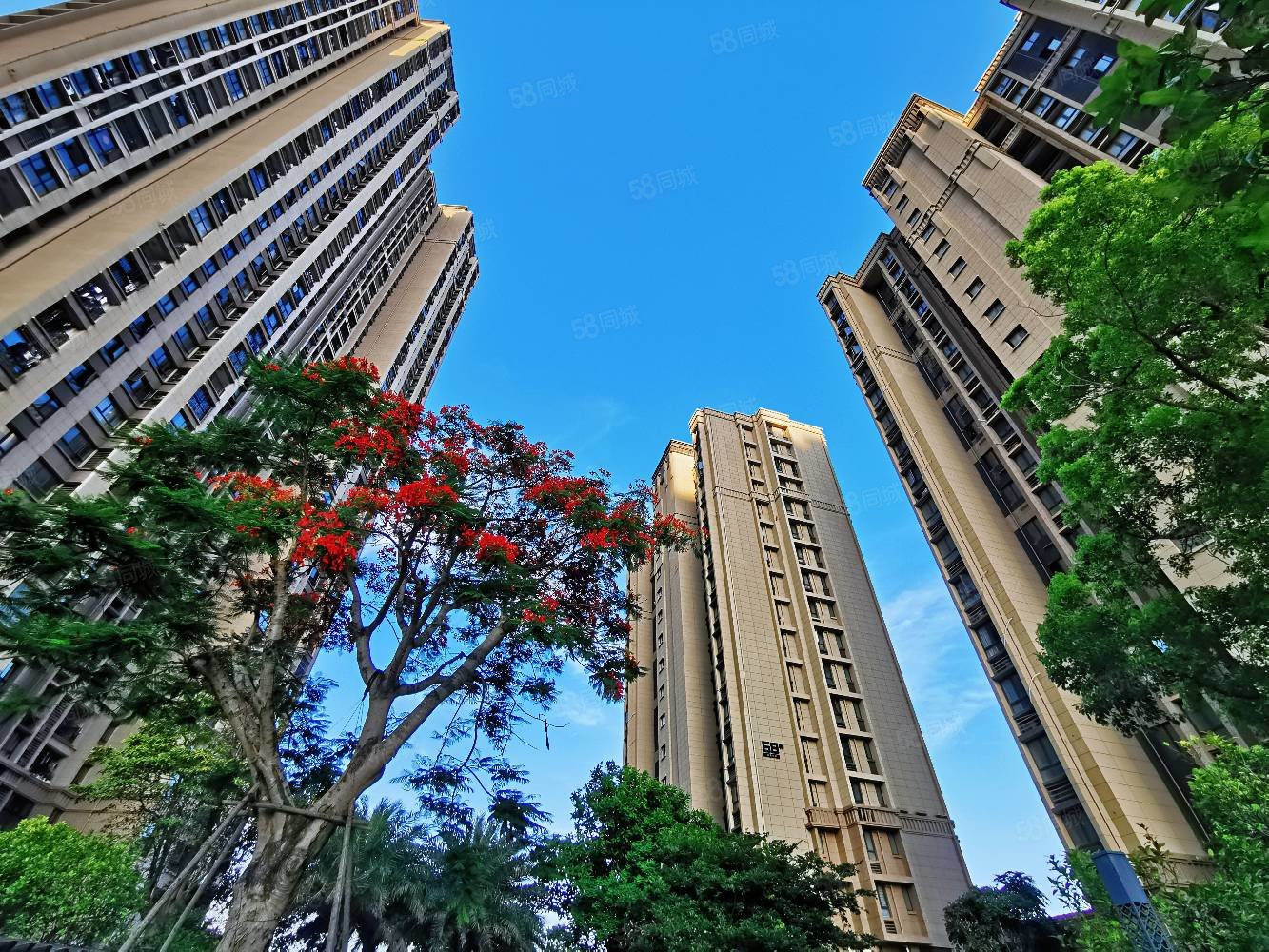 【10图】隧道口世茂御海墅精装三房,239万,世茂御海墅(公寓住宅)-厦门