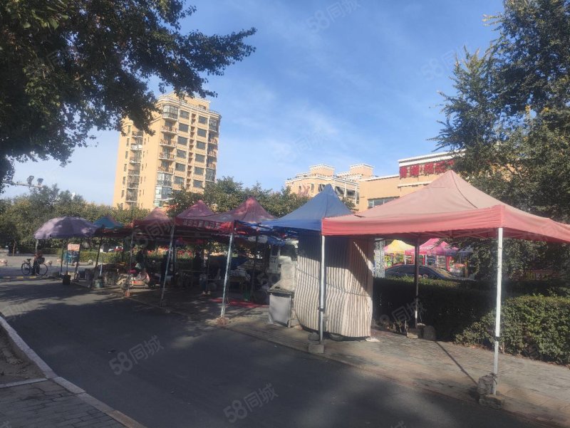 青湖铭城4室3厅2卫183㎡南北57万