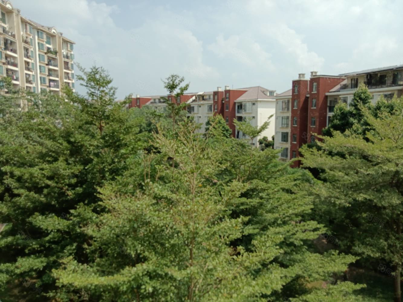 企石豪华别墅 诚心出售 真实有效 家私电器齐全 价格美丽,金椅豪园