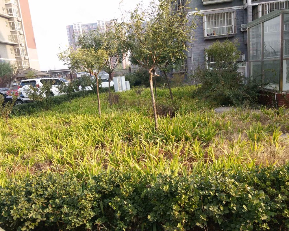 【海德花园, 海德花园小区详情,房价走势,房源,业主论坛】- 迁西58