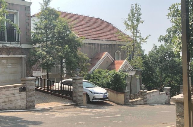 悦禧国际山庄(别墅)8室4厅313.5㎡356万二手房图片