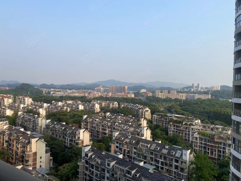 金域中央-东莞58同城