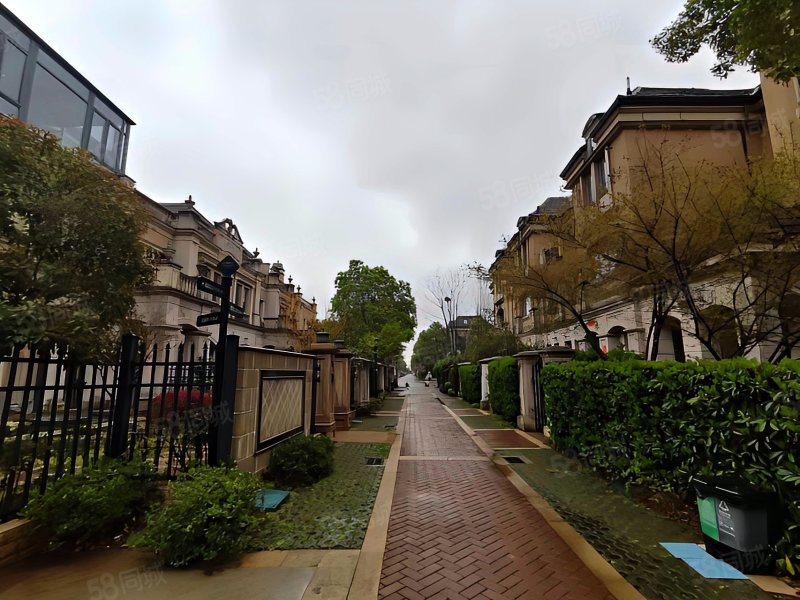 中建汤逊湖壹号(别墅)5室2厅4卫244.75㎡南北530万