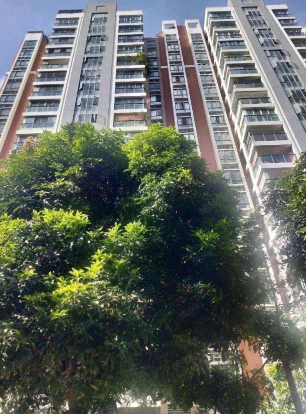 天华美地 4楼 正园心东南三面采光 正规3房带储藏室带双阳台