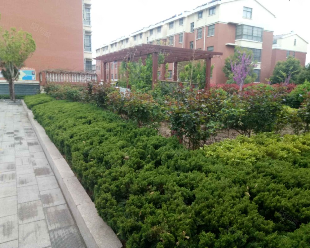 【锦城花园, 锦城花园小区详情,房价走势,房源,业主论坛】- 临沂58