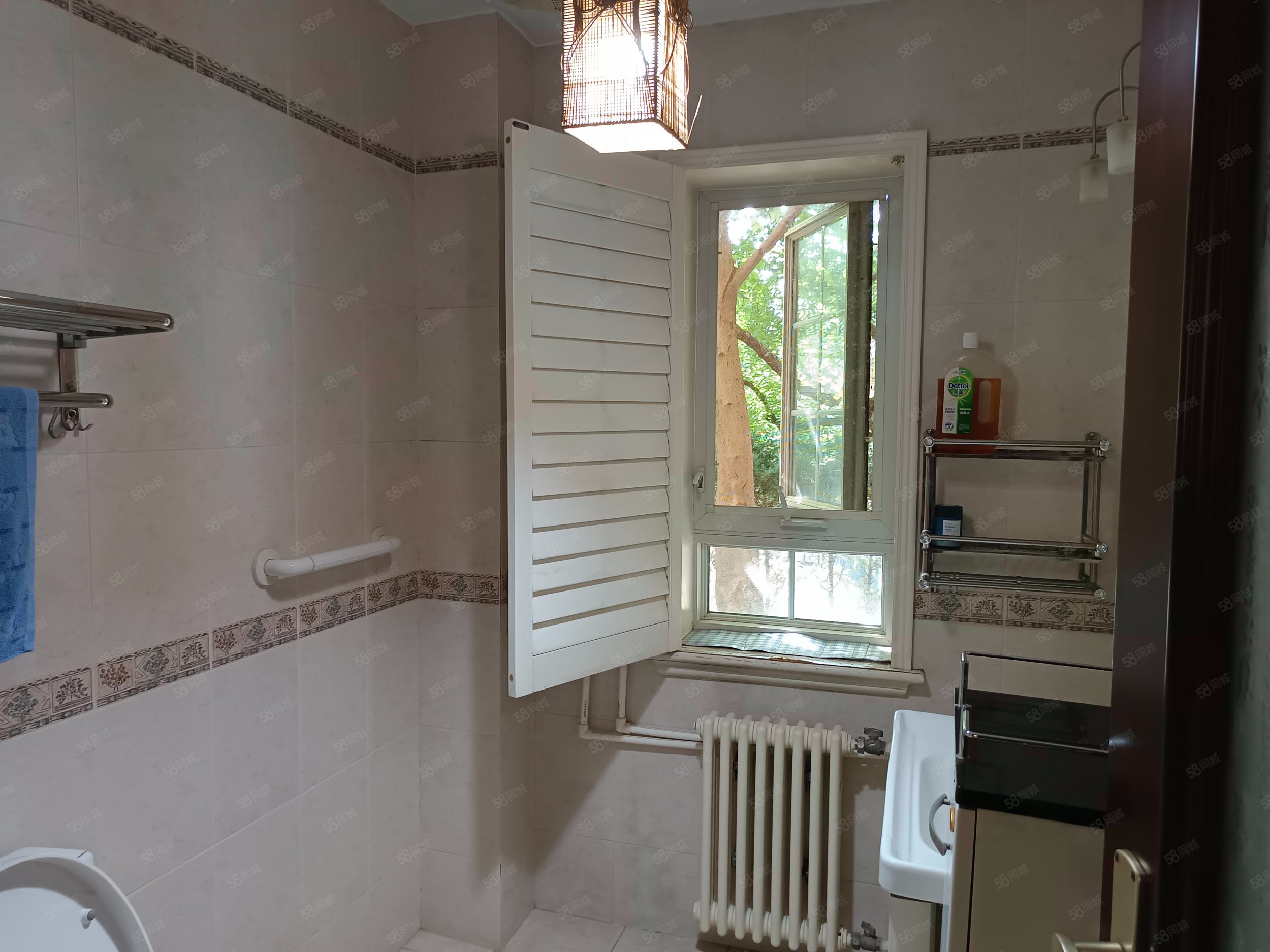 碧水莊園5室2廳4衛(wèi)303㎡南北1700萬