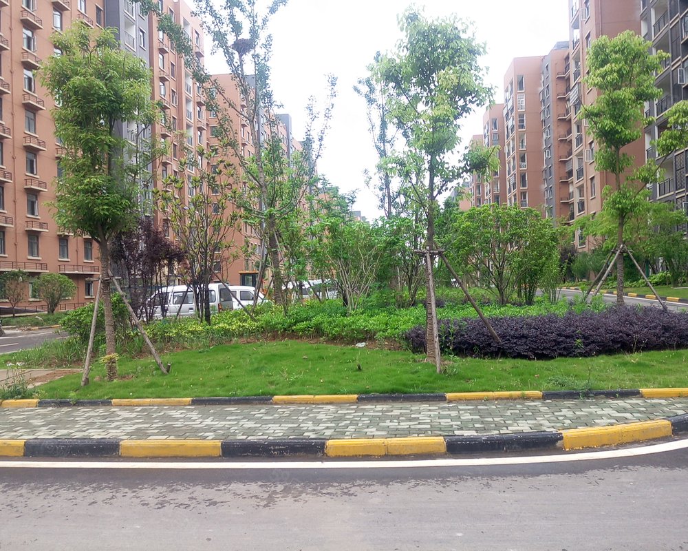 【佛祖岭f区西区, 佛祖岭f区西区小区详情,房价走势,房源,业主论坛】