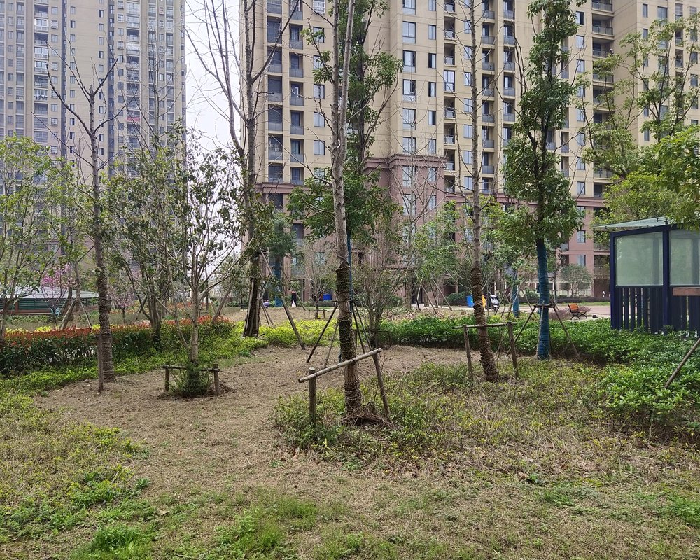 【荆山花园(东区), 荆山花园(东区)小区详情,房价走势,房源,业主论坛