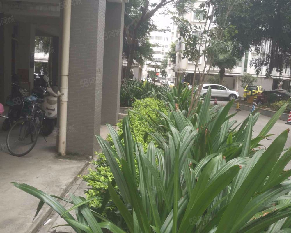 【建德花园, 建德花园小区详情,房价走势,房源,业主论坛】- 泉州58