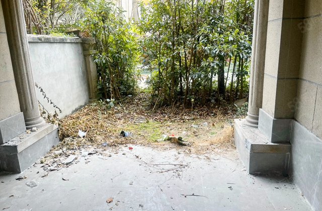 绿地圣罗兰5室2厅280.38㎡300万二手房图片