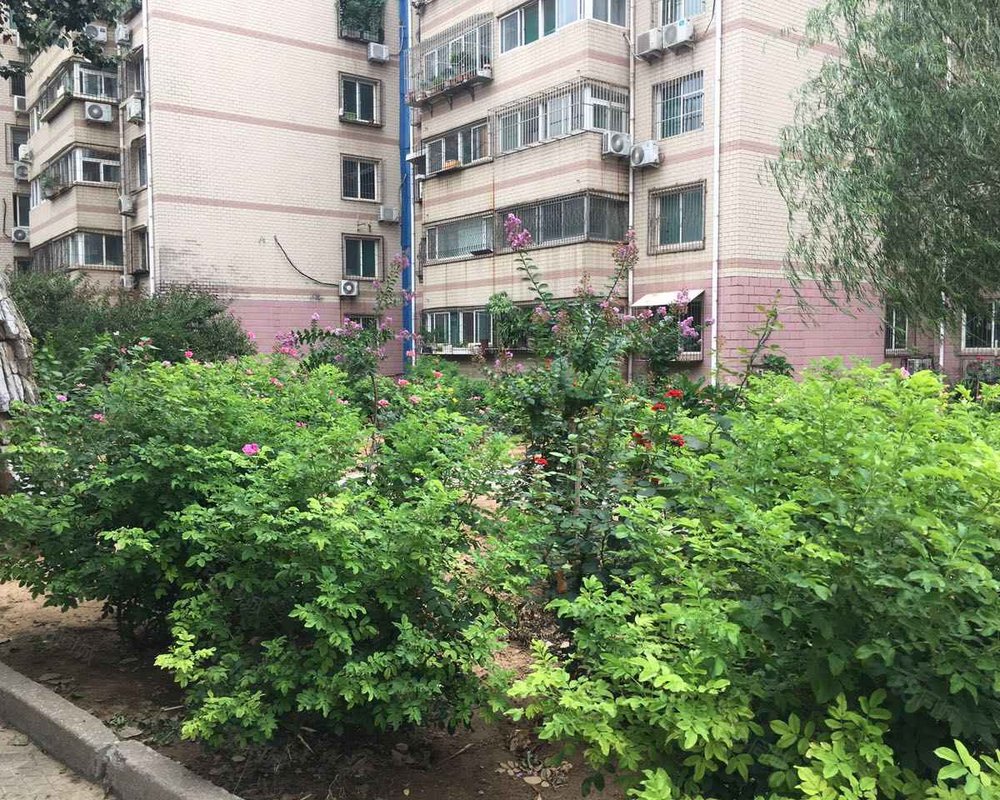 【百花小区, 百花小区小区详情,房价走势,房源,业主论坛】- 济南58