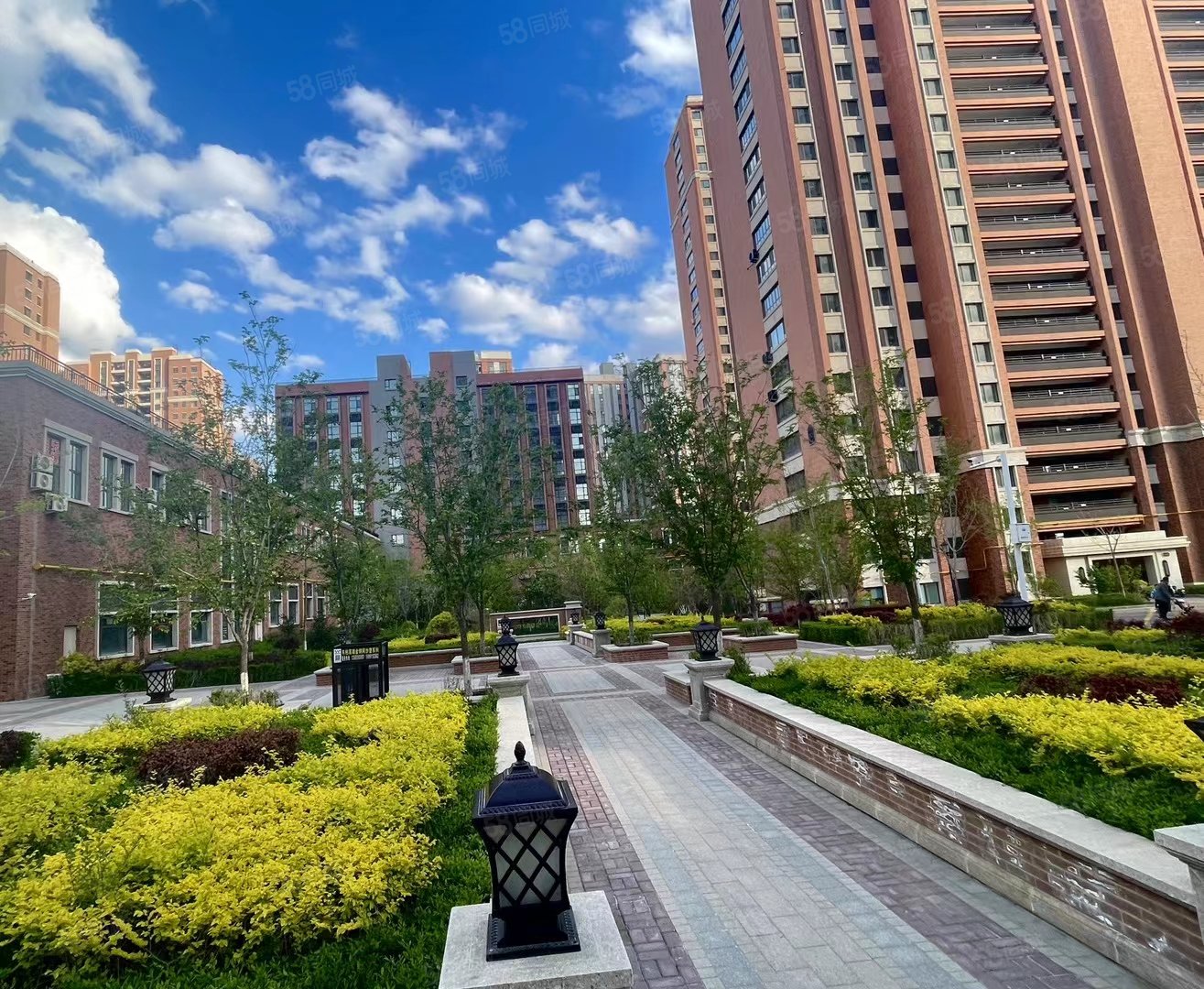 近大门小高层世界冠郡105b户型南北通透送家具家电