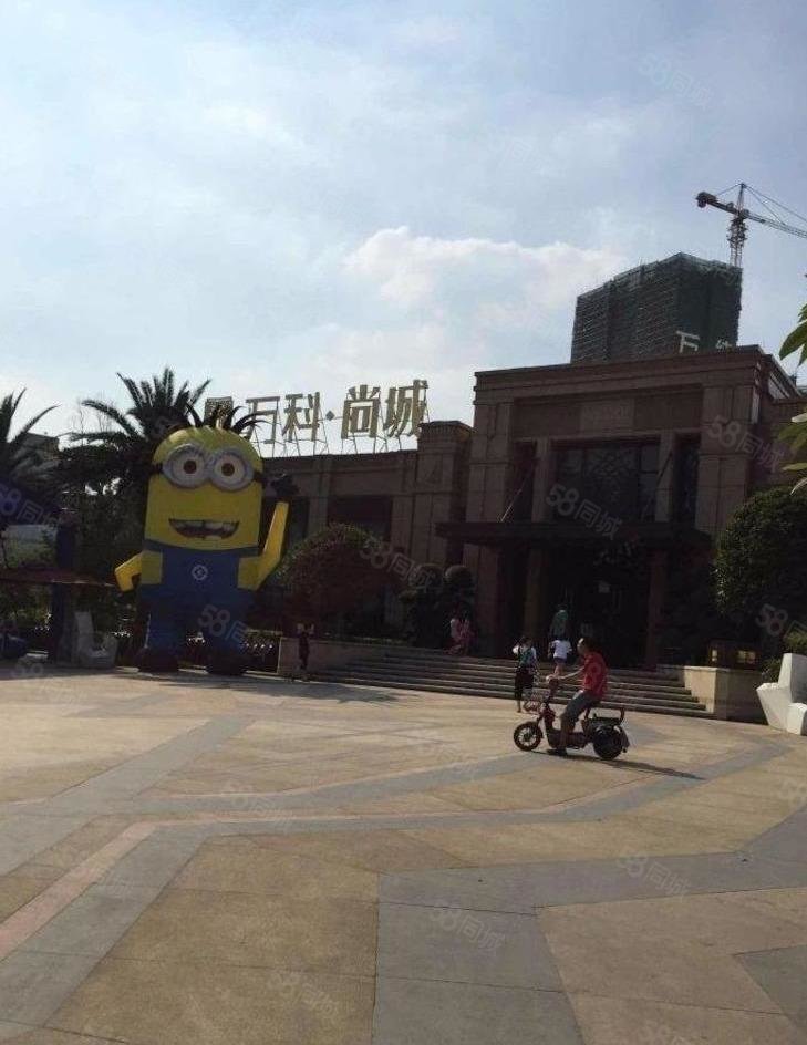万科尚城东南向复式3房业主降价急售自己在住装修保养好