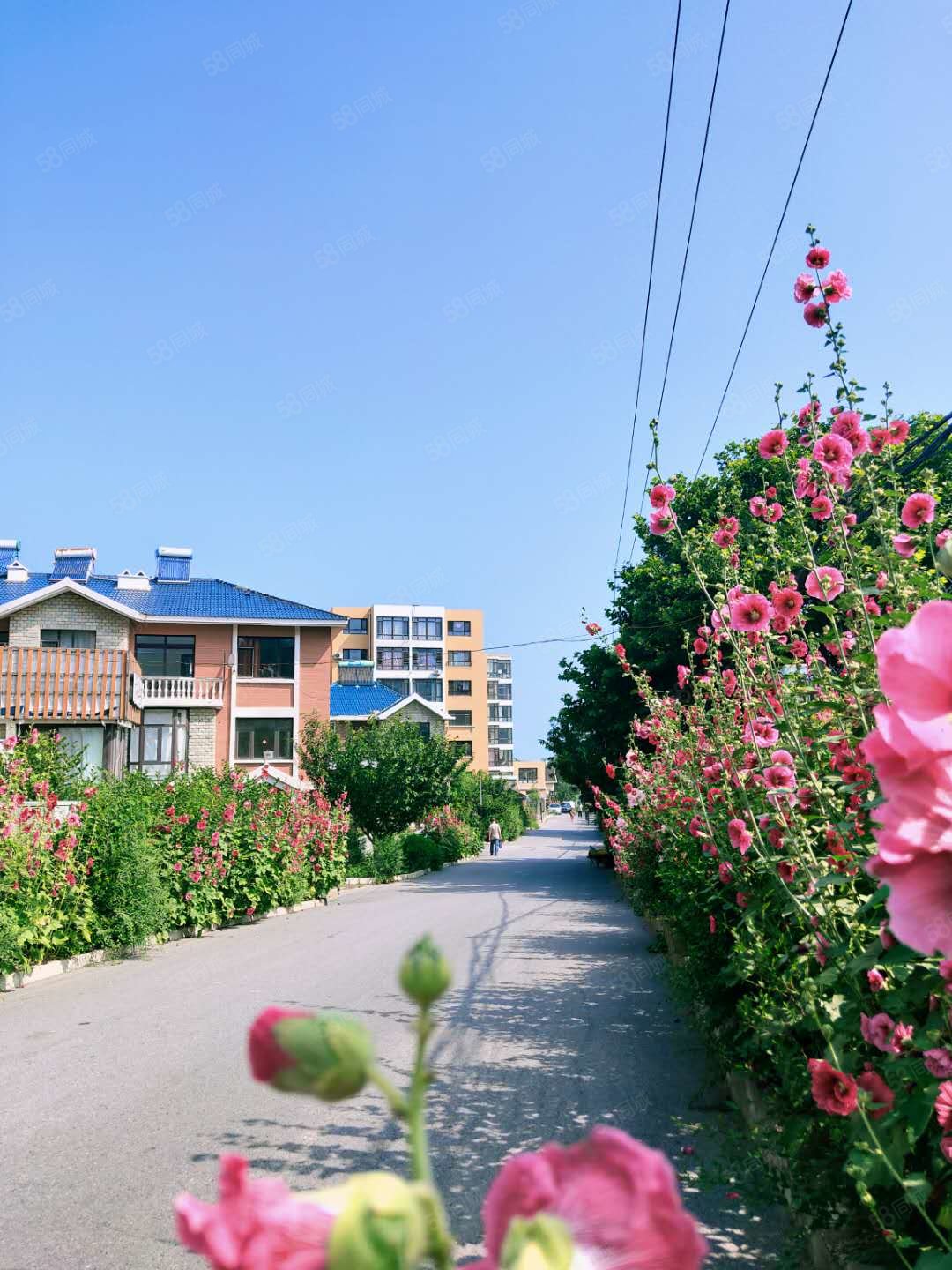 营城子大黑石三楼海景洋房降价10万,29万就卖.