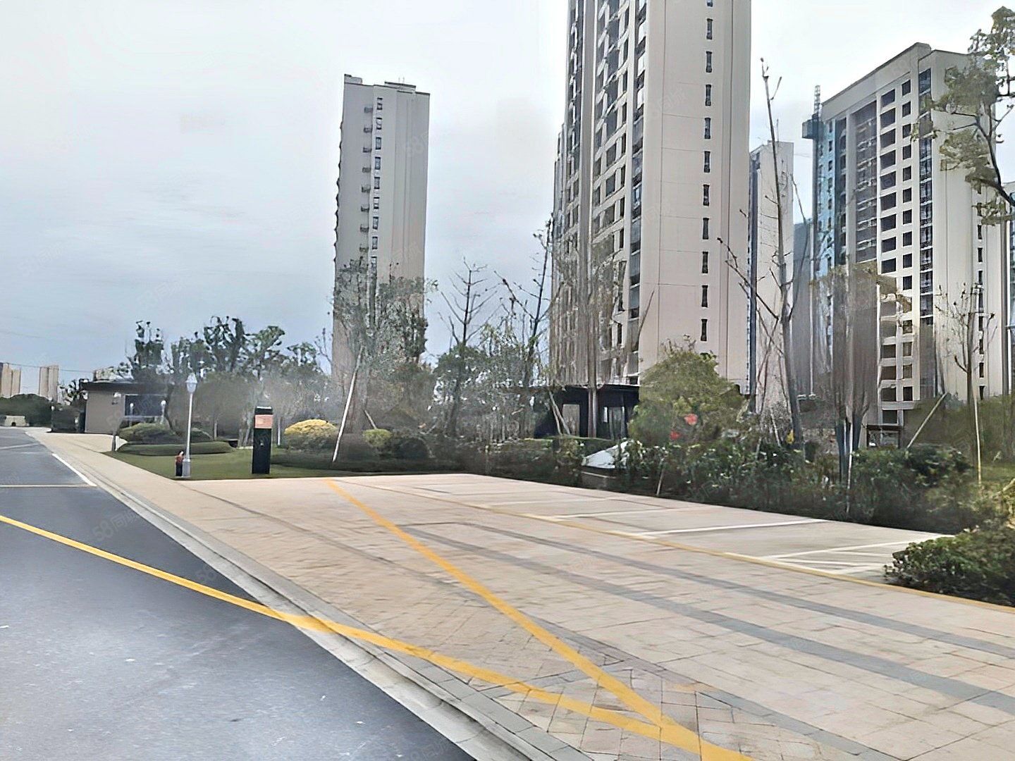 太仓新区中南君悦府万达广场旁近市民公园小区绿化高