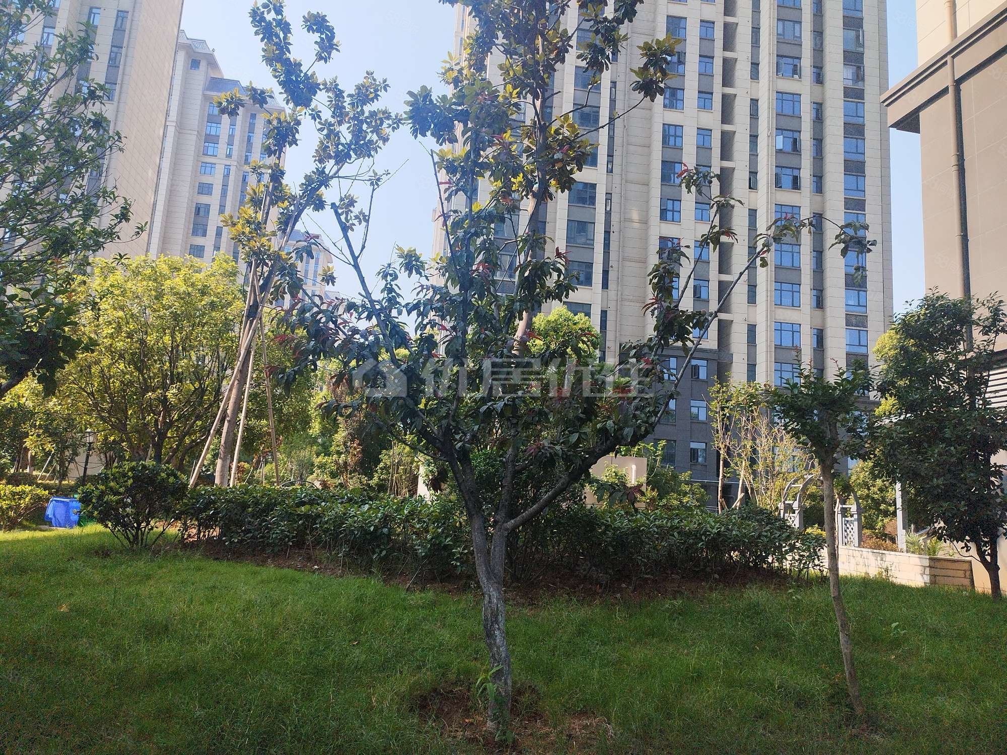骧龙国际景秀园3室2厅1卫110㎡南北97万