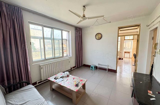 金鼎 老东昌 育新街 东边户两室非顶层 有钥匙随时看房