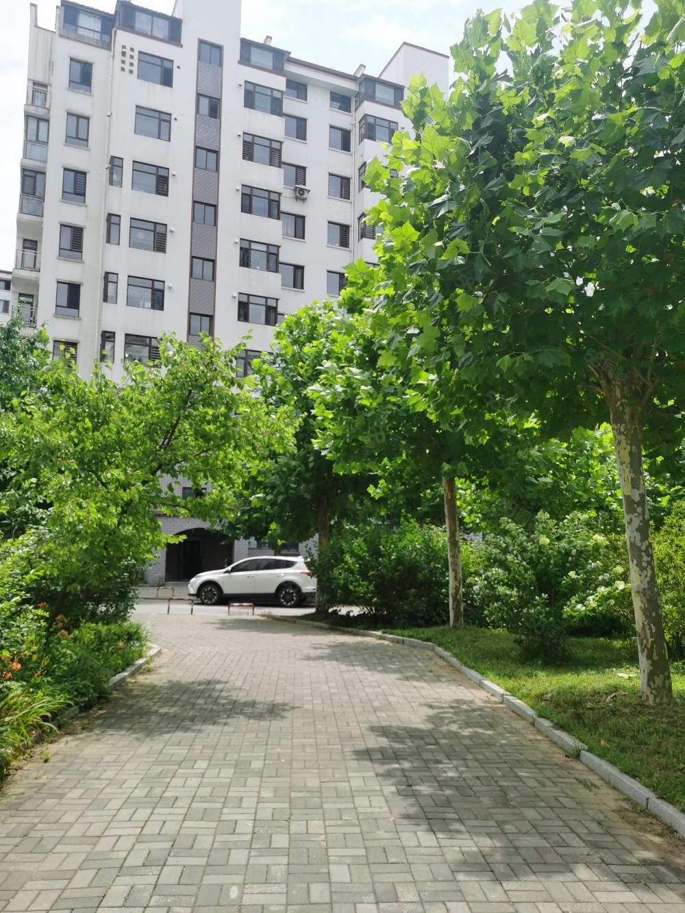 【10图】扬州城 精装修两室拎包入住,扬州城-丹东58同城