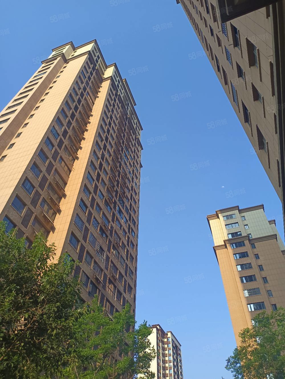 紫金华府毛坯三房二卫电梯高层视野开阔采光很好满二年
