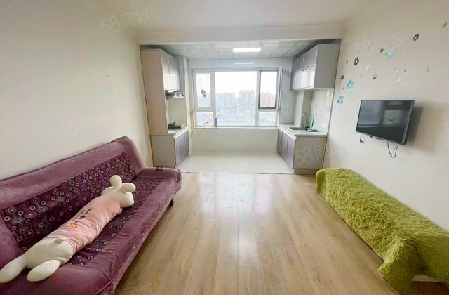 新星宇和邑(C区)1室1厅55.53㎡35.5万二手房图片