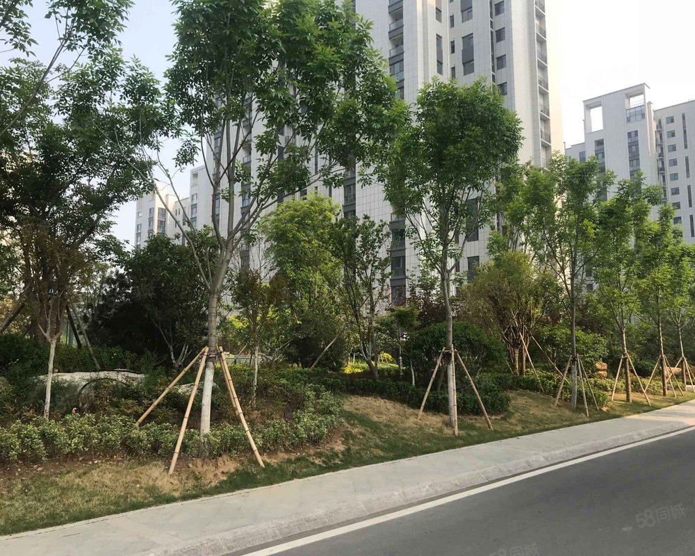 齐悦国际花园(三期)小区详情,房价走势,房源,业主论坛】- 淄博58同城