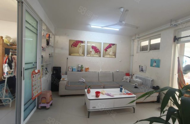 三院东邻五万安家单价4千五，39.8万新星  建设路小十一中