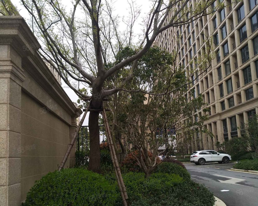 【蓝都诚园, 蓝都诚园小区详情,房价走势,房源,业主论坛】- 桐乡58