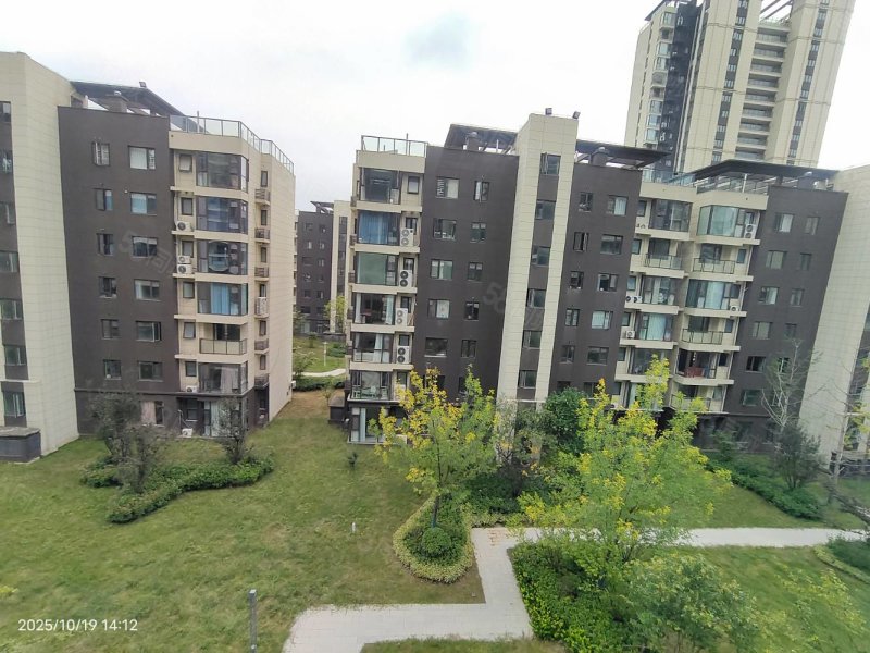 圣桦锦江天玺4室2厅2卫145㎡南北85万