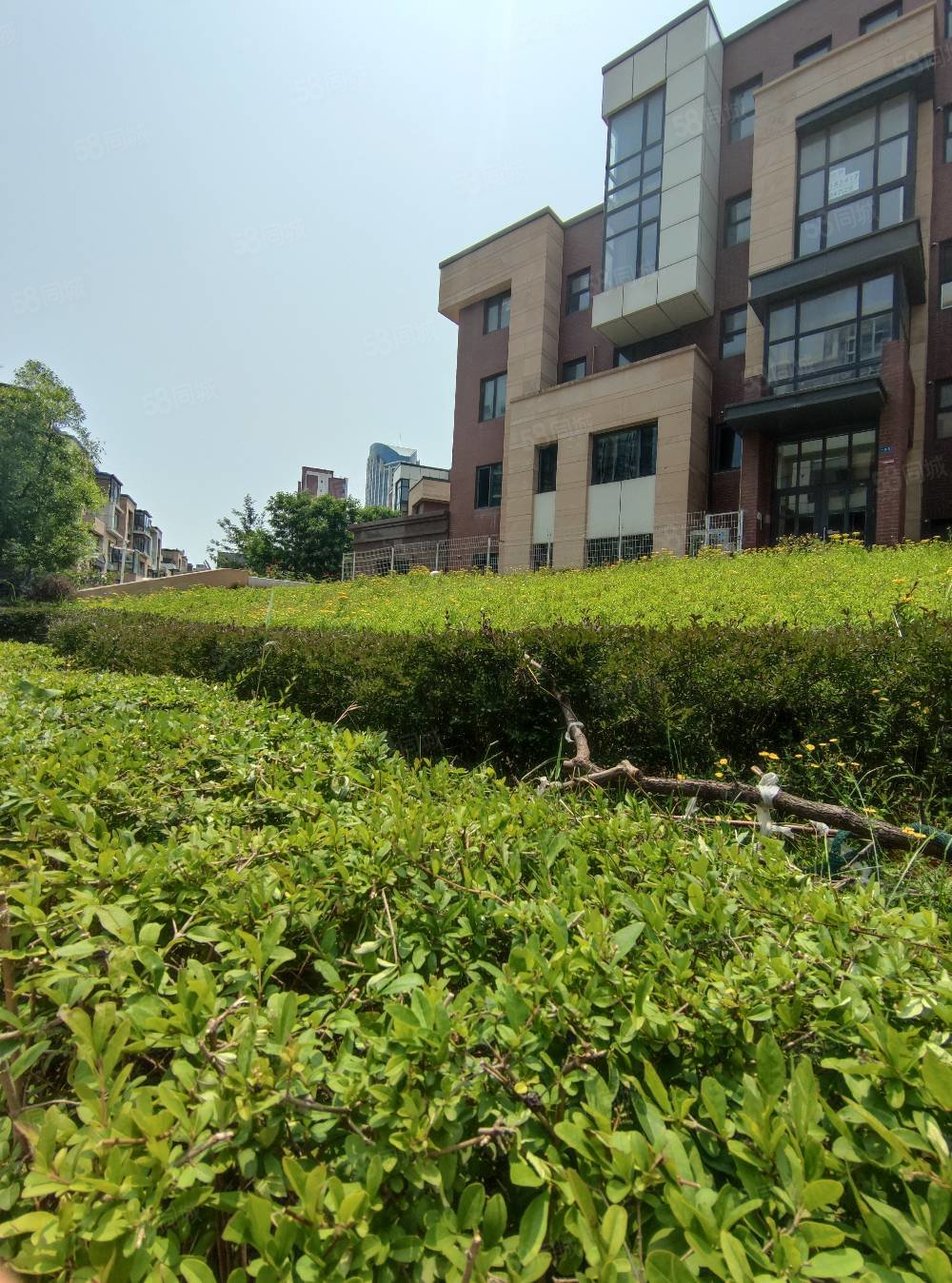 湖海假日3室2厅2卫147㎡南北75万