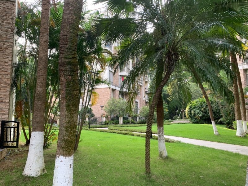 以竹为名 一梯两户 地铁三百米 珠江新城半小时,竹韵山庄-广州58同城