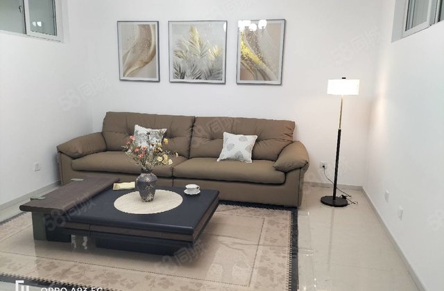 水岸新城一楼带院，精装修三室，送全屋家电，急售