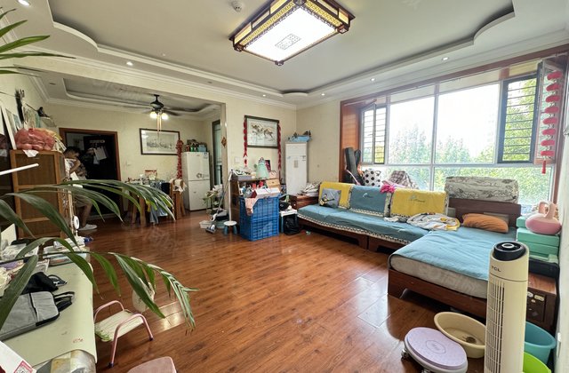 二中东临 金柱大学城 四居室 单价6900 带储免大税 急售