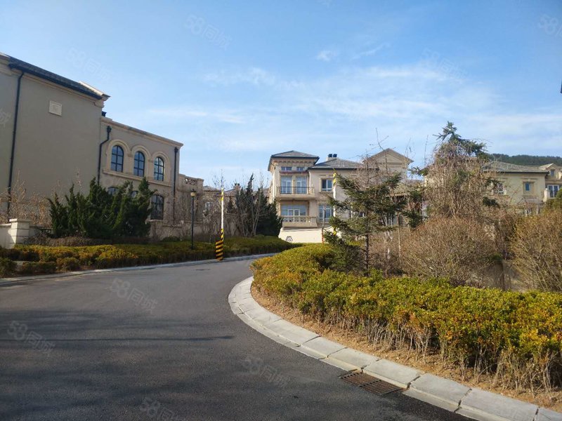 亿达蓝山 现有套特价联排别墅 独立车库私人会所 百平米花园!